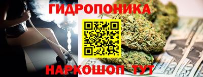 apvp Кунгур