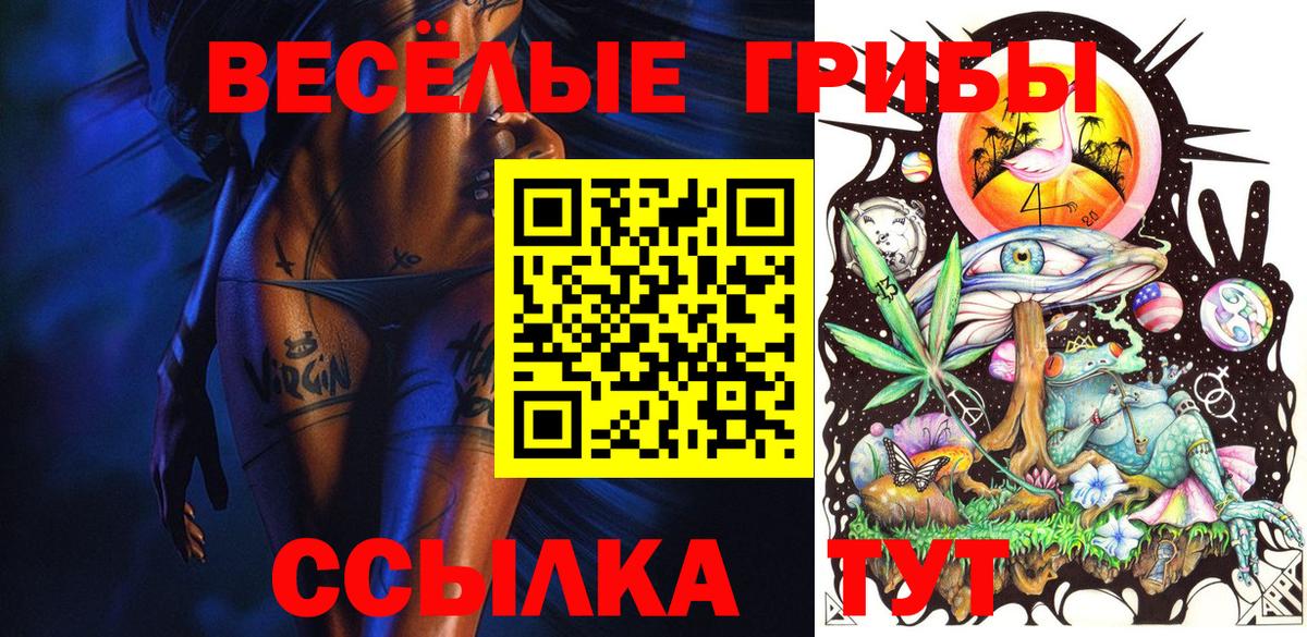Псилоцибиновые грибы мицелий Калач-на-Дону