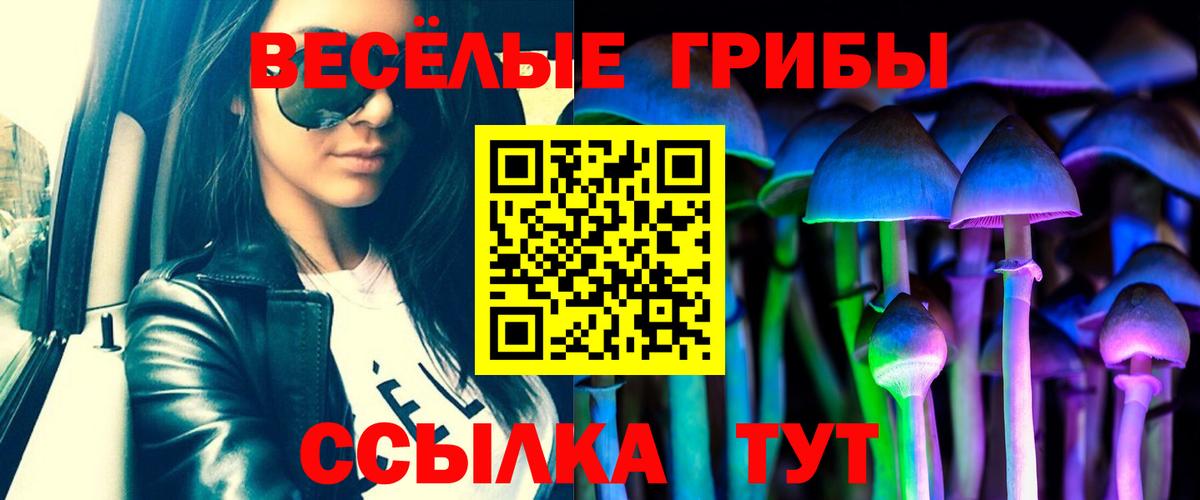 Калач-на-Дону  Галлюциногенные грибы Psilocybine cubensis  Вход с VPN  Галлюциногенные грибы прущие грибы 