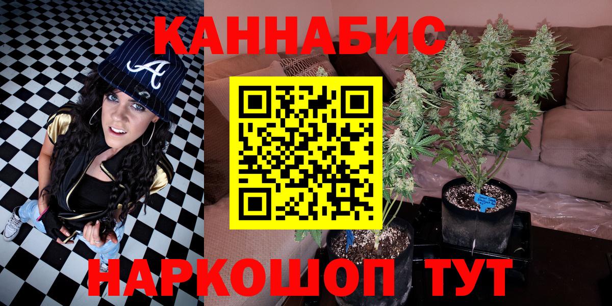 Каннабис OG Kush Калач-на-Дону